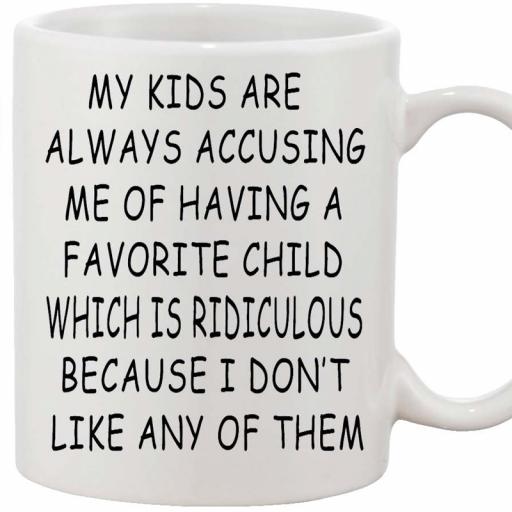 Personalised 'My Kids are Always Accusing Me...Favourite Child' Mug.jpg