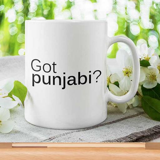 Personalised Funny Desi 'Got Punjabi' Mug - Add Text