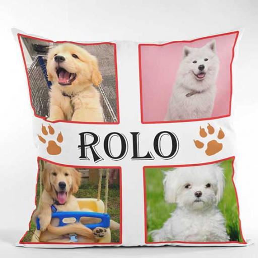 4-pic-collage-ROLO4.jpg