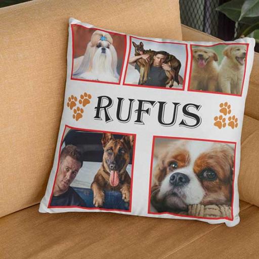 5-pic-collage-RUFUS2.jpg