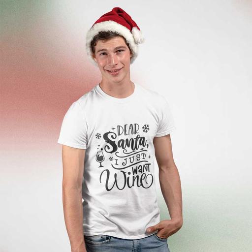 Personalised "Dear Santa, I Just Want Wine" t-Shirt